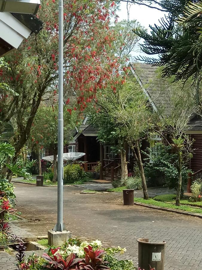 Vila Kota Bunga 5 Bedrooms Puncak Exterior foto